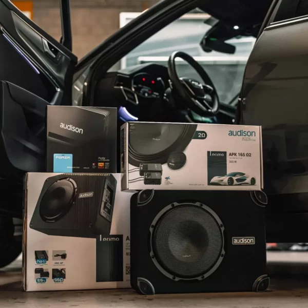 Speakers & Subwoofers